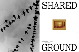 Schirn Photo Story - Shared Ground - Finn Waldherr - Schirn Kunsthalle Frankfurt Akiel Gallina
